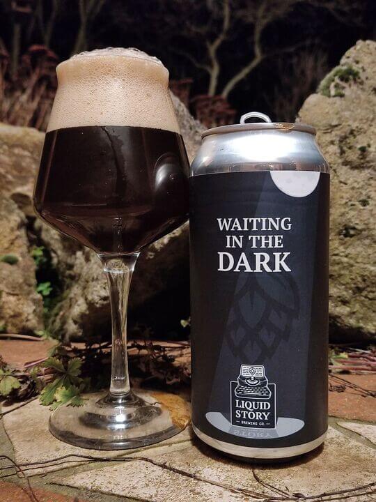 Waiting in the Dark - Liquid Story Brewing Tasting kaufen