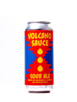 Aslin Volcano Sauce - Sour Ale with Blackberry , Blueberry , Milk Sugar and Vanilla im Shop kaufen