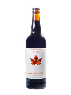 Central Waters Maple Barrel Stout (2022) - Aged in Maple Syrup Barrels im Shop kaufen