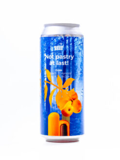 Magic Road Not Pastry at Last ! - Fruited Gose im Shop kaufen