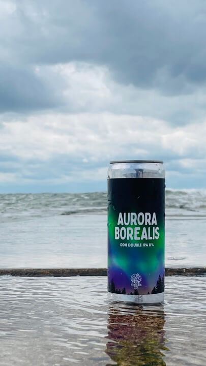Friends Brewing - Aurora Borealis Tasting kaufen
